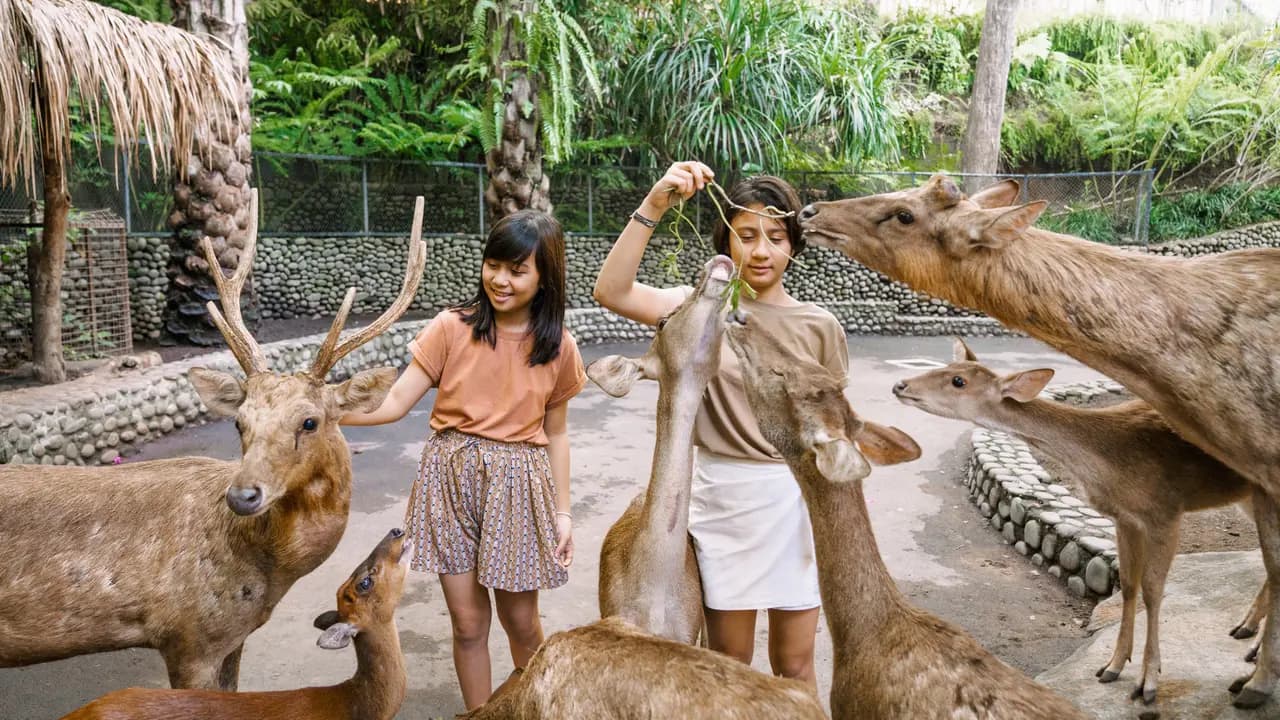 Bali Zoo Ticket - Photo 8