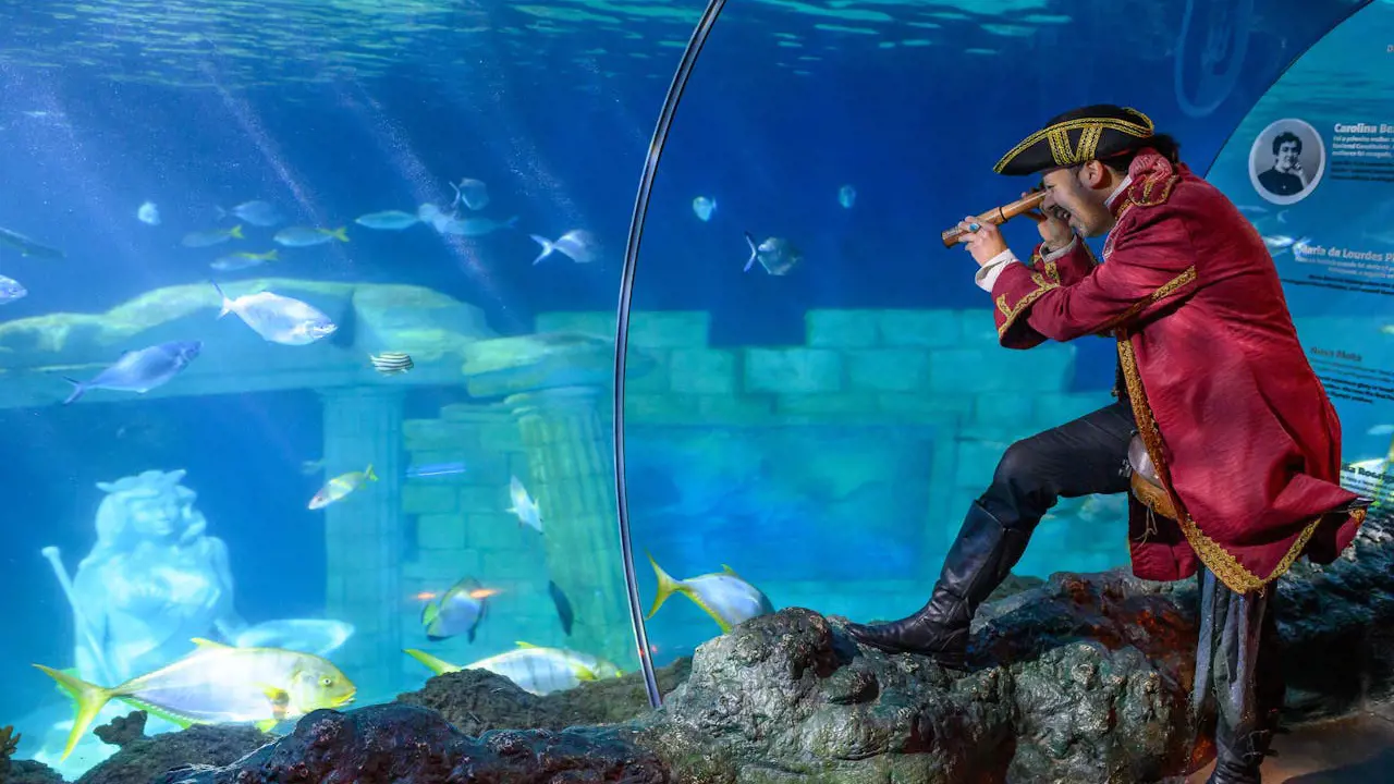 SEA LIFE Porto Ticket - Photo 15