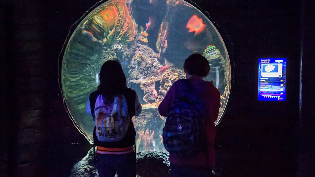 SEA LIFE Porto Ticket - Photo 7