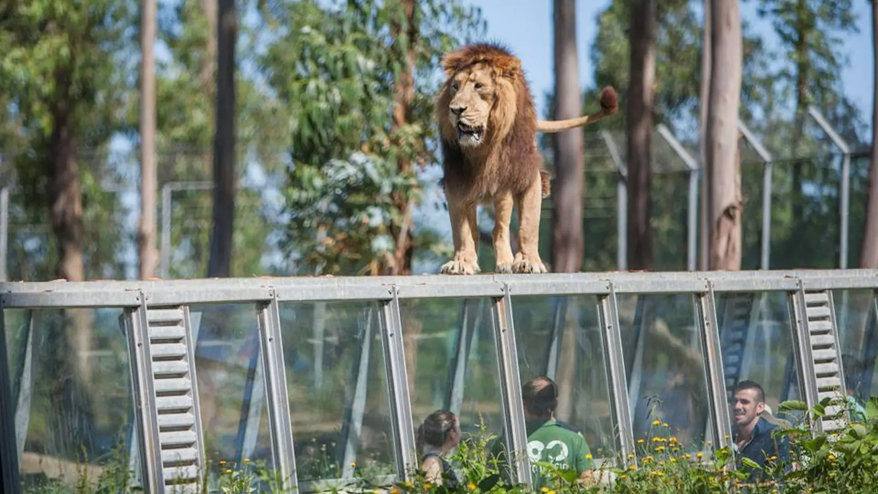 Zoo Santo Inácio Ticket - Photo 20