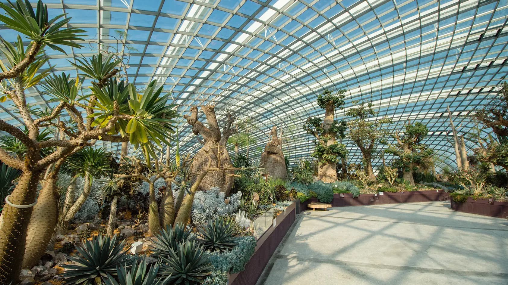 COMBO: Universal Studios Singapore + Gardens by the Bay Ticket - Photo 19