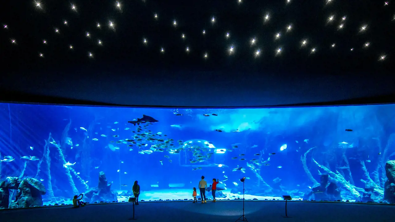 Poema del Mar - Aquarium Gran Canaria: Skip The Line Ticket - Photo 2