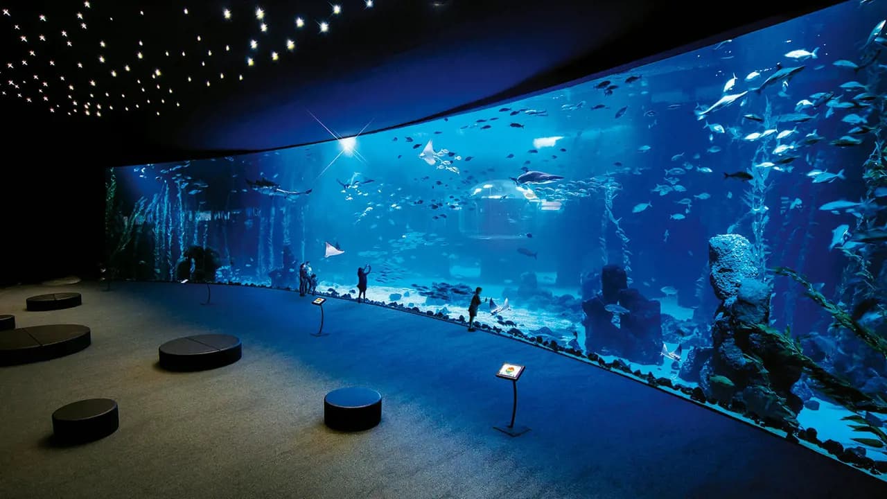 Poema del Mar - Aquarium Gran Canaria: Skip The Line Ticket - Photo 7