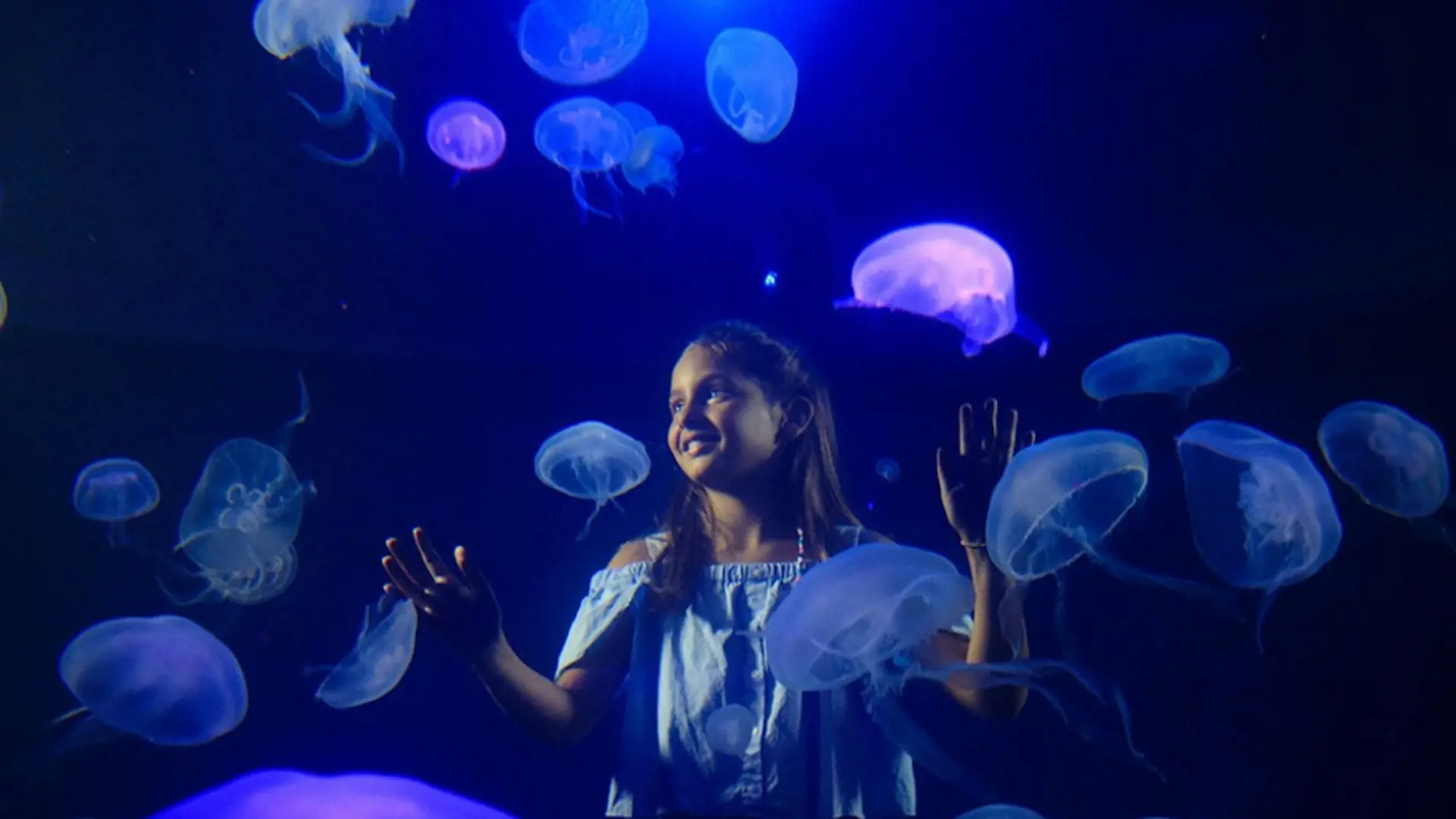 Palma Aquarium: Skip The Line Ticket + Optional 3D Cinema Aquadome - Photo 21