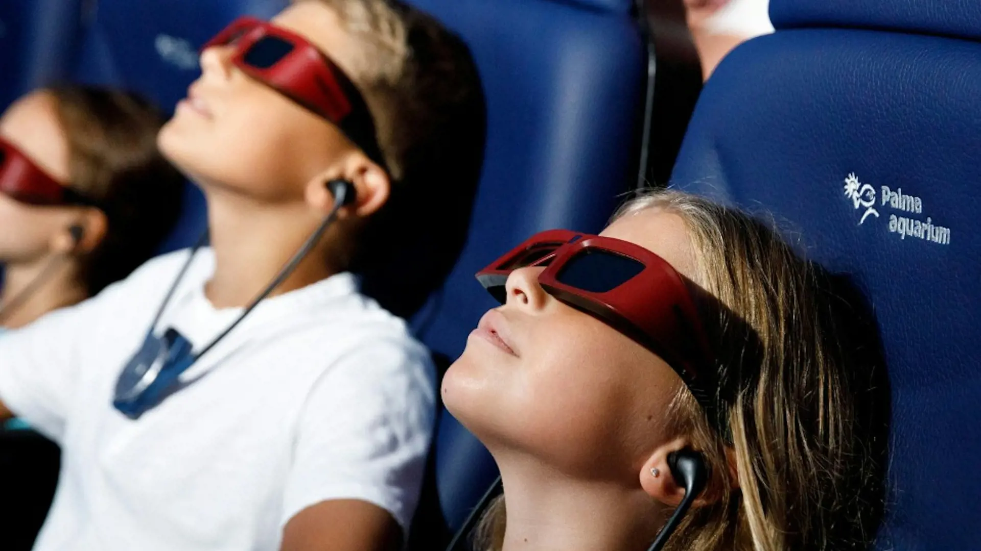 Palma Aquarium: Skip The Line Ticket + Optional 3D Cinema Aquadome - Photo 23