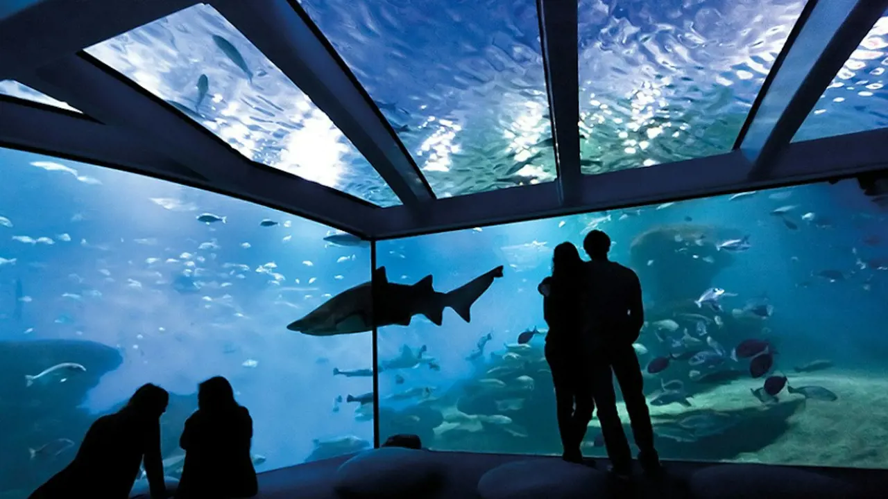 Palma Aquarium: Skip The Line Ticket + Optional 3D Cinema Aquadome - Photo 7