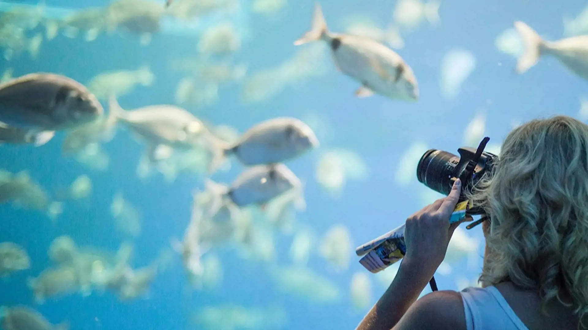 Palma Aquarium: Skip The Line Ticket + Optional 3D Cinema Aquadome - Photo 27