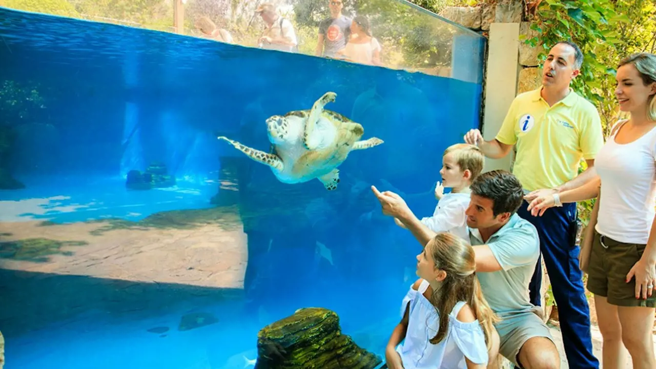 Palma Aquarium: Skip The Line Ticket + Optional 3D Cinema Aquadome - Photo 9