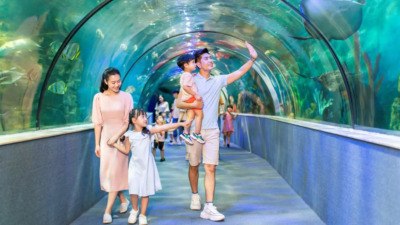 Vinpearl Aquarium Times City Hanoi Ticket - Photo 4