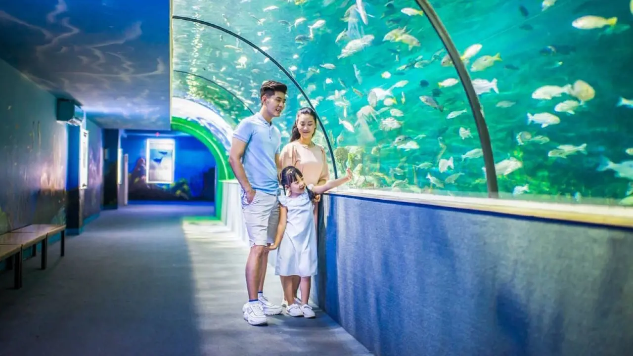 Vinpearl Aquarium Times City Hanoi Ticket - Photo 6