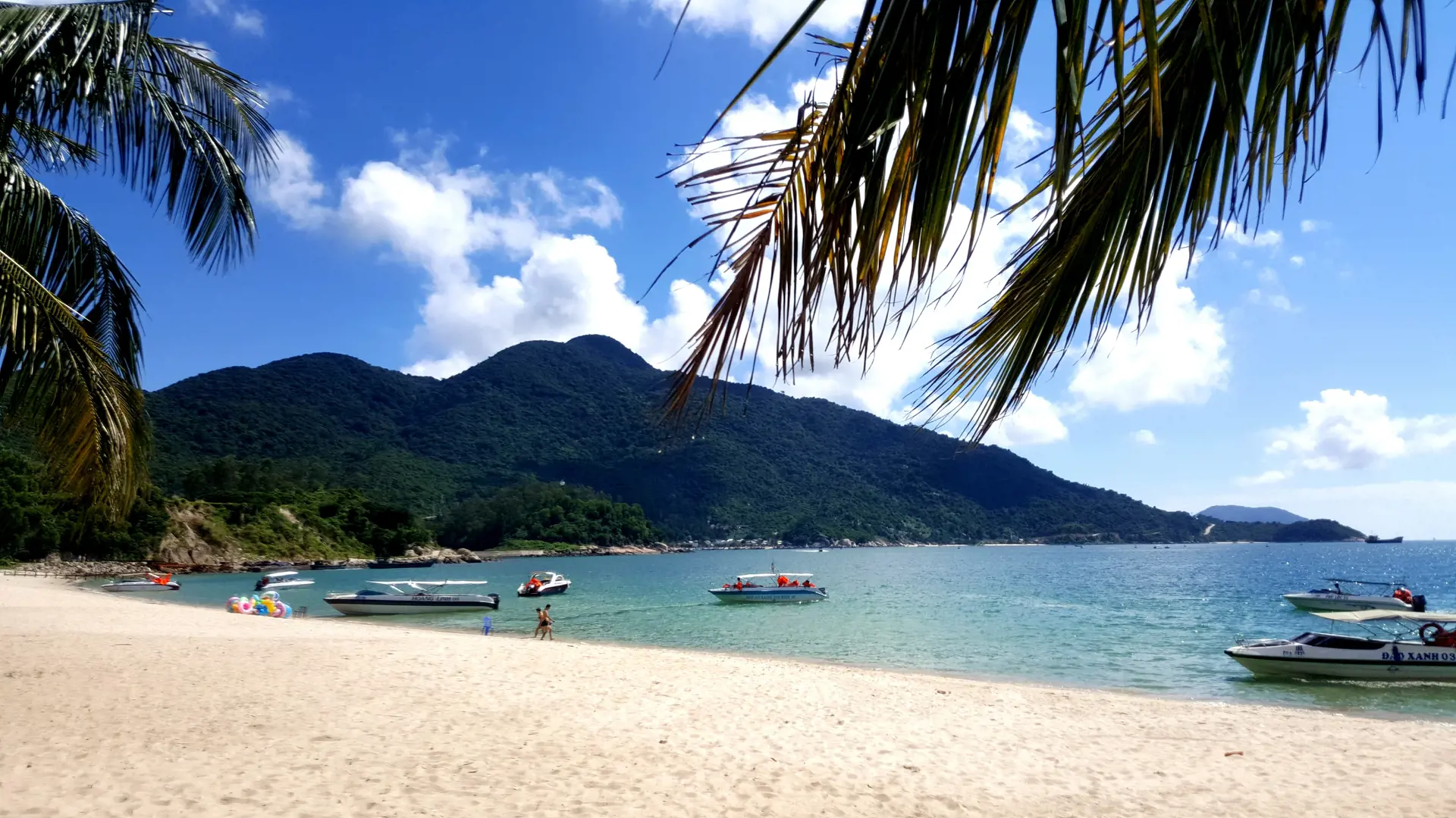 Cham Island Tour from Da Nang - Photo 14