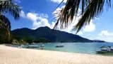 Cham Island Tour from Da Nang - Photo 12