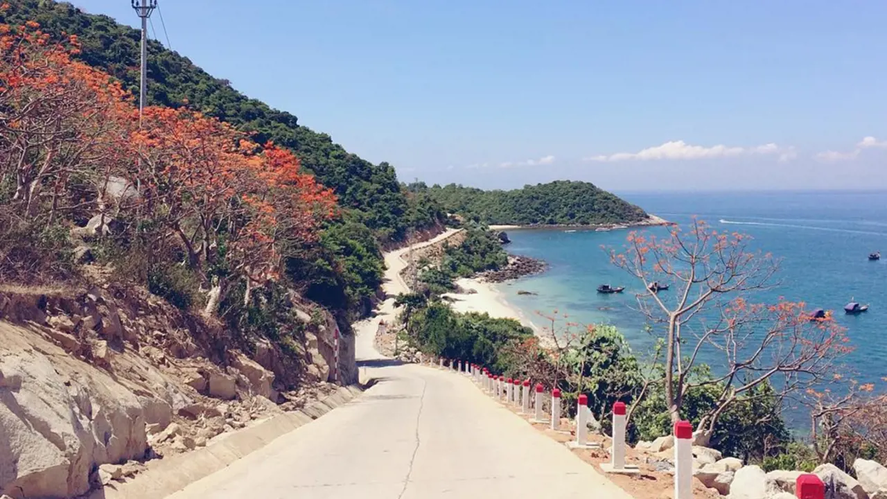 Cham Island Tour from Da Nang - Photo 15