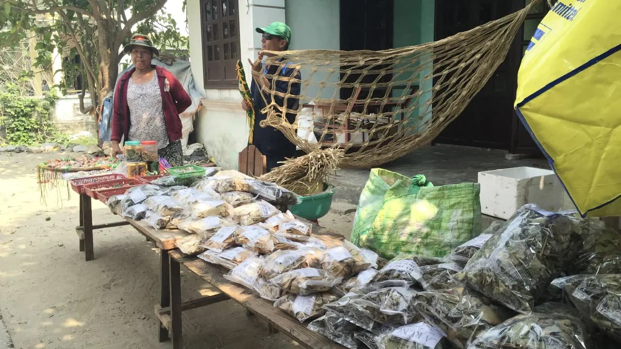 Cham Island Tour from Da Nang - Photo 7
