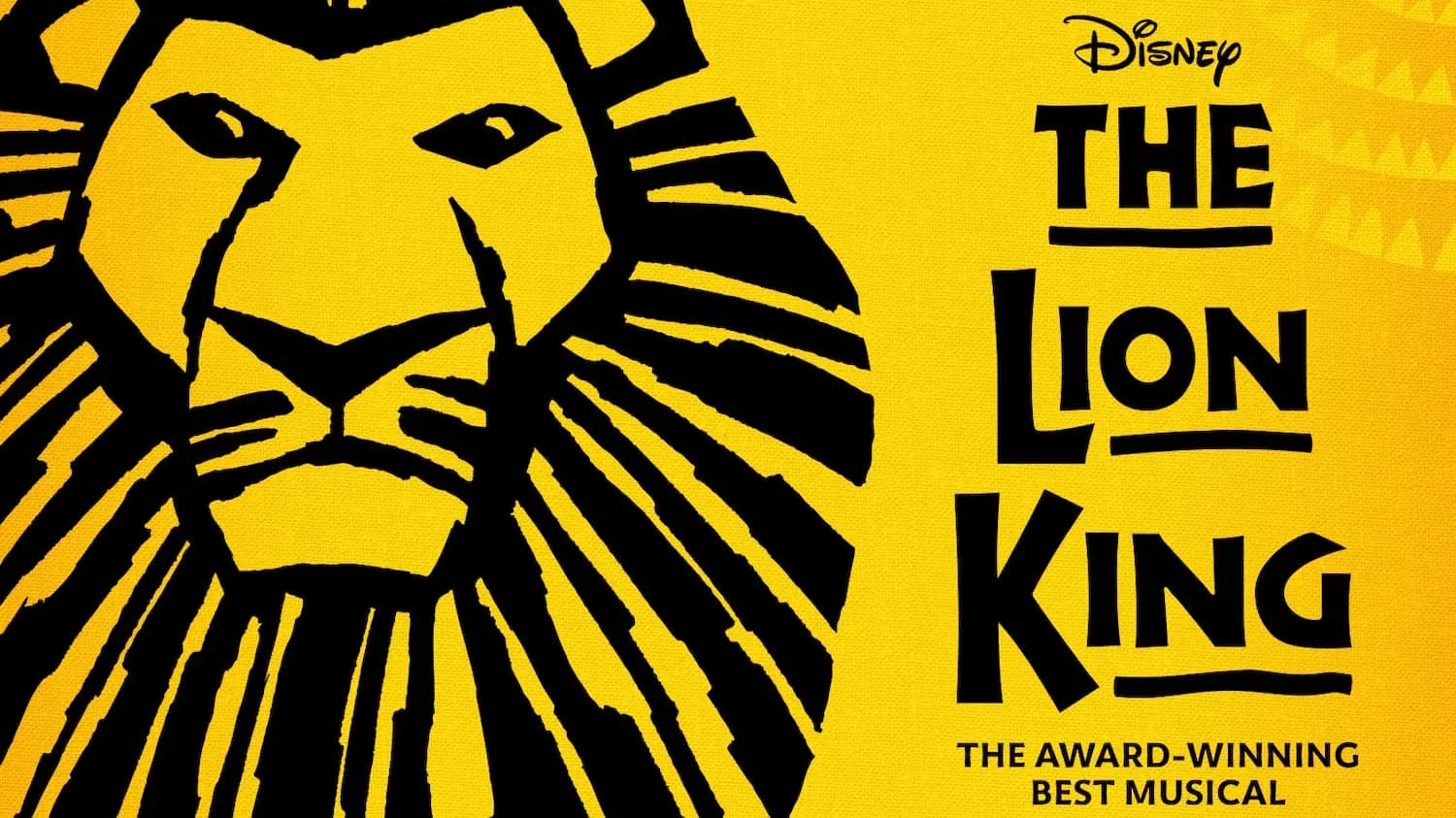 The Lion King Broadway Musical Ticket in New York - Photo 13