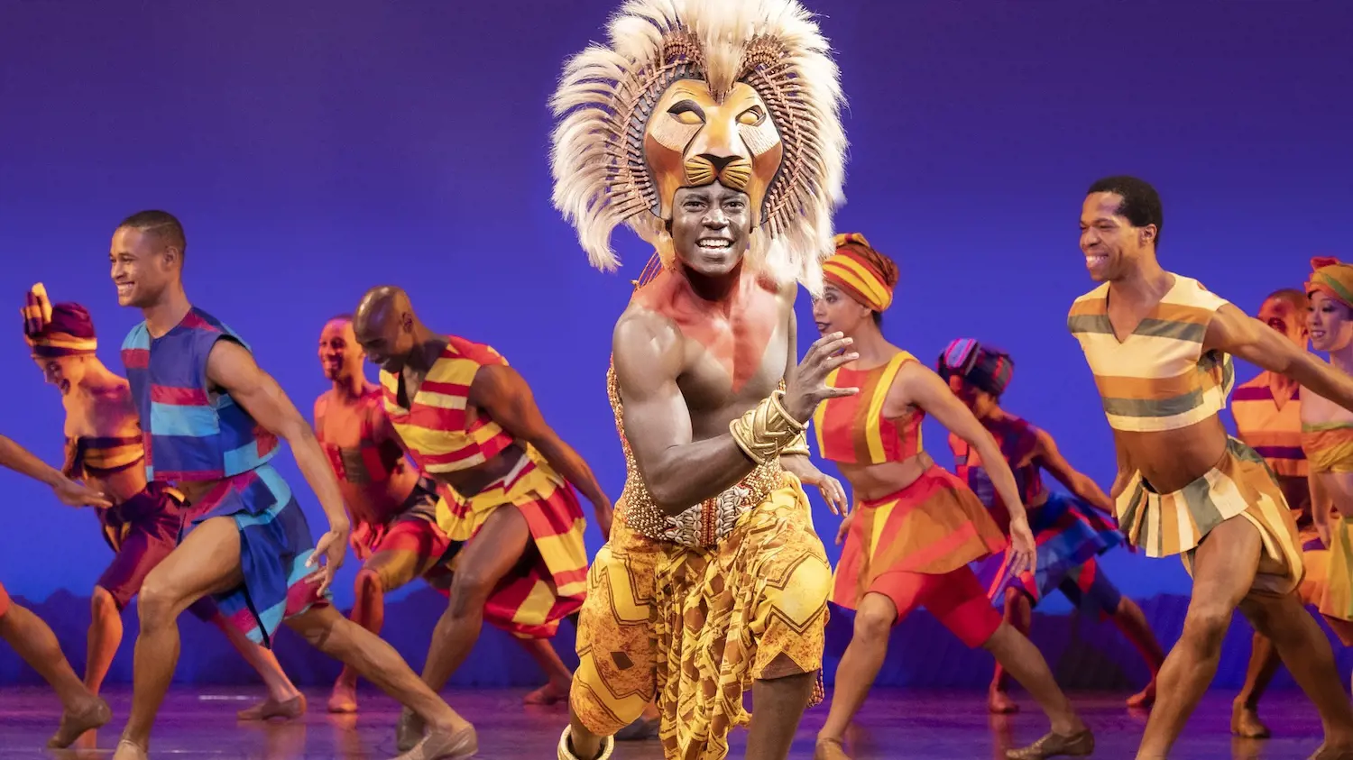 The Lion King Broadway Musical Ticket in New York - Photo 16