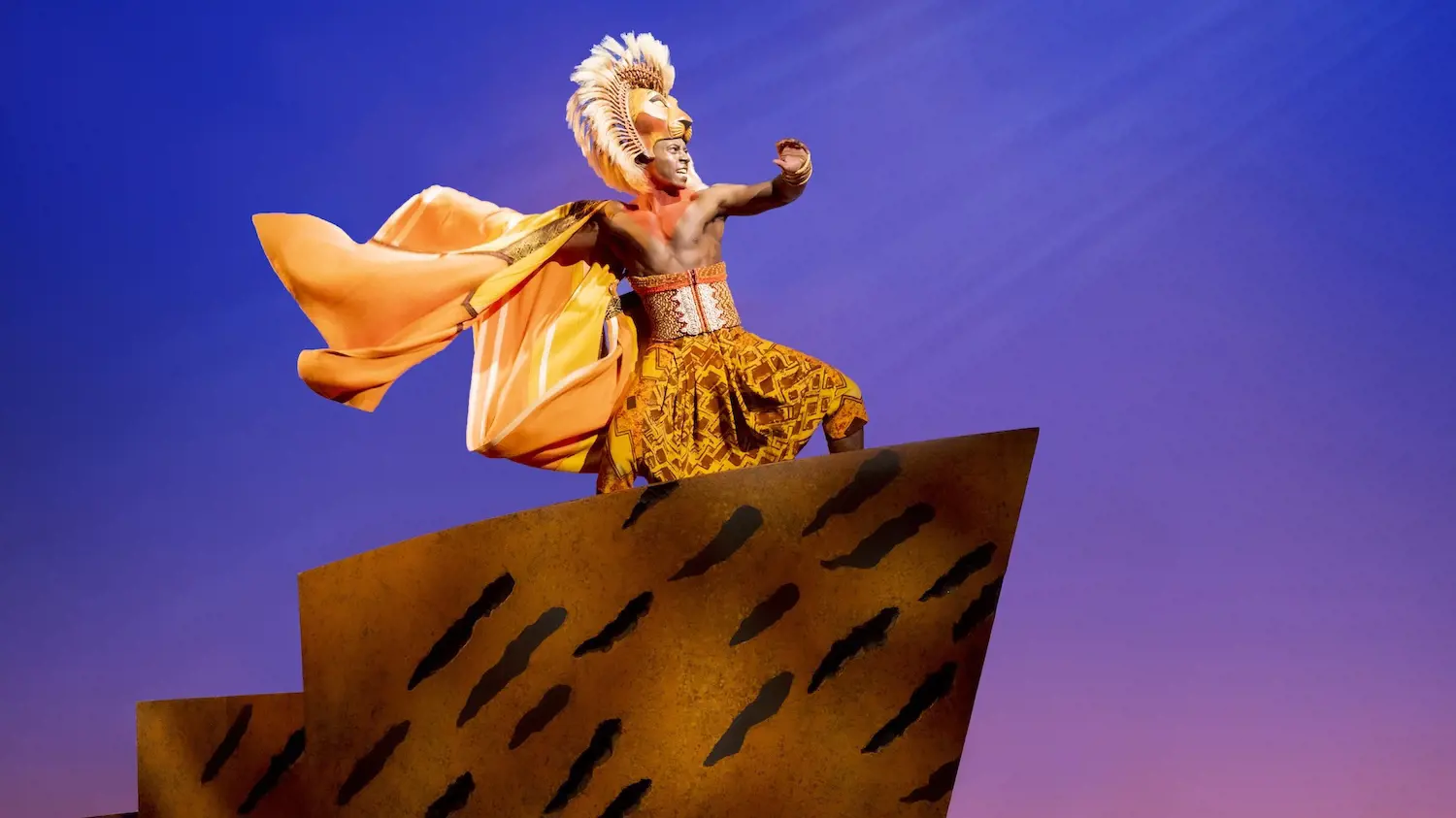 The Lion King Broadway Musical Ticket in New York - Photo 19