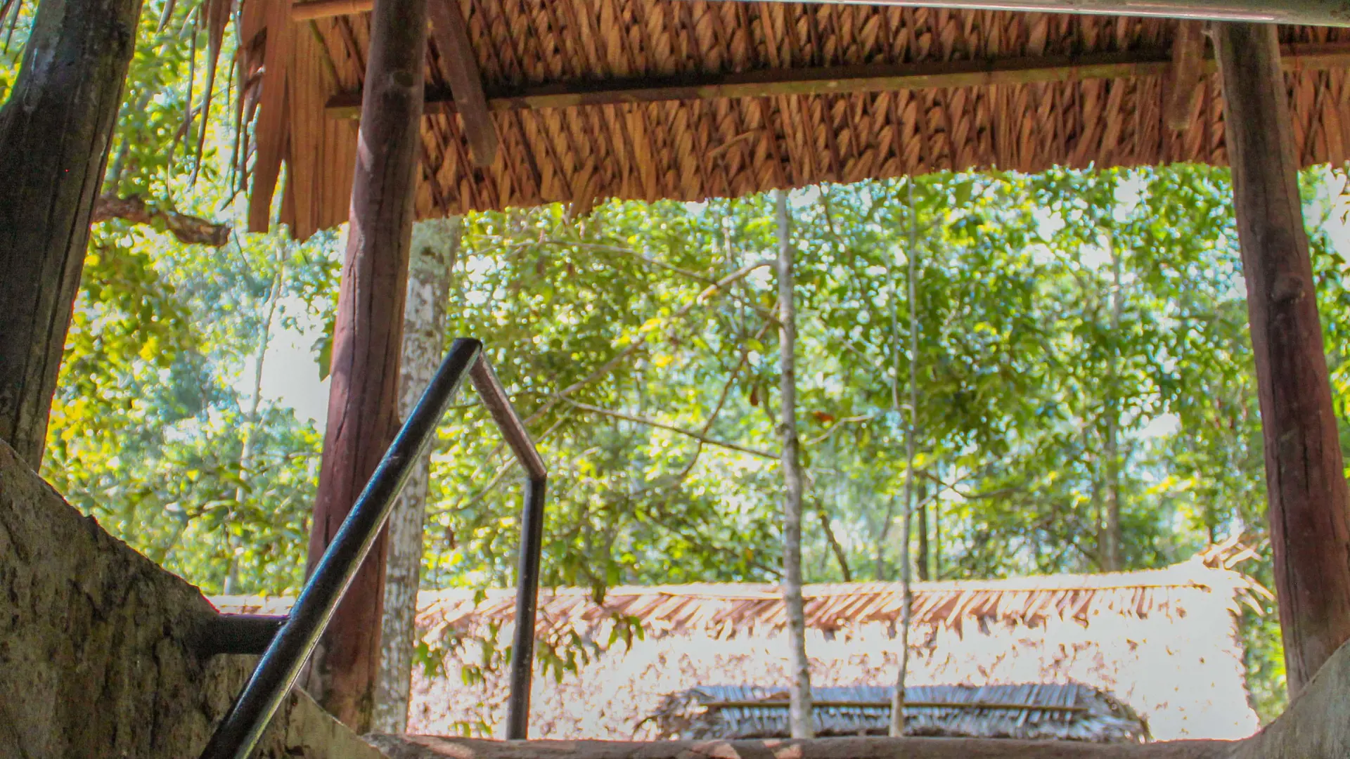 Cu Chi Tunnels and Mekong Delta Full-Day Tour from Ho Chi Minh - Photo 33