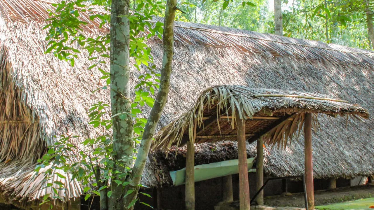 Cu Chi Tunnels and Mekong Delta Full-Day Tour from Ho Chi Minh - Photo 11