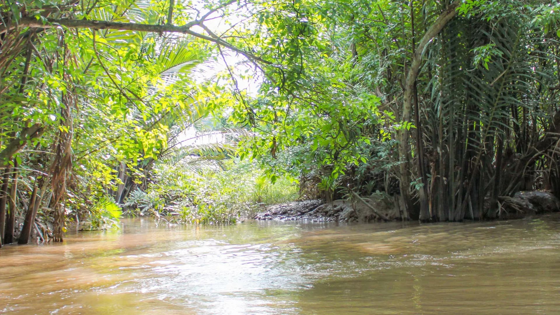 Cu Chi Tunnels and Mekong Delta Full-Day Tour from Ho Chi Minh - Photo 39