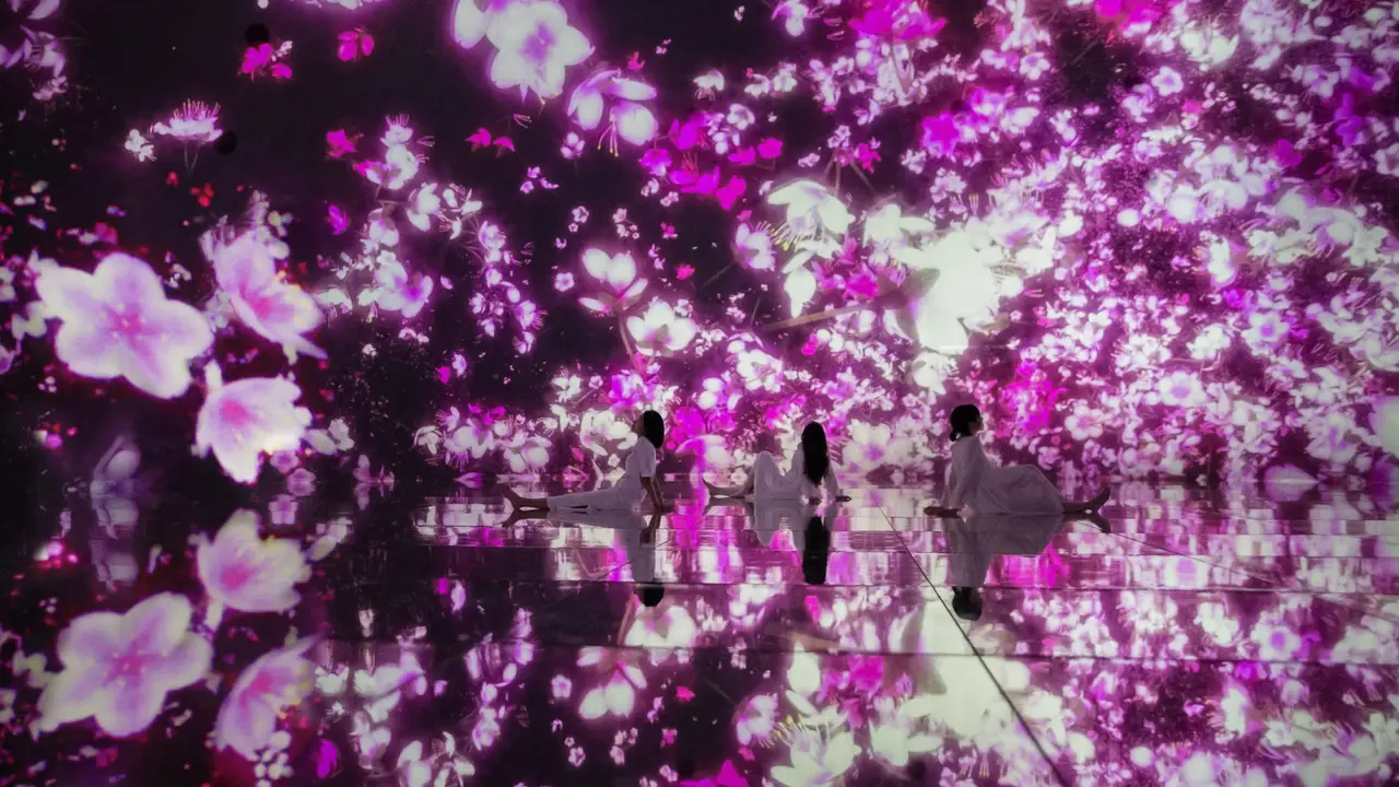 teamLab Planets TOKYO Ticket - Photo 1