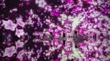 teamLab Planets TOKYO Ticket - Photo 24