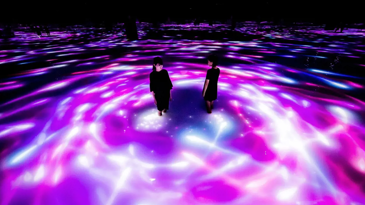 teamLab Planets TOKYO Ticket - Photo 2