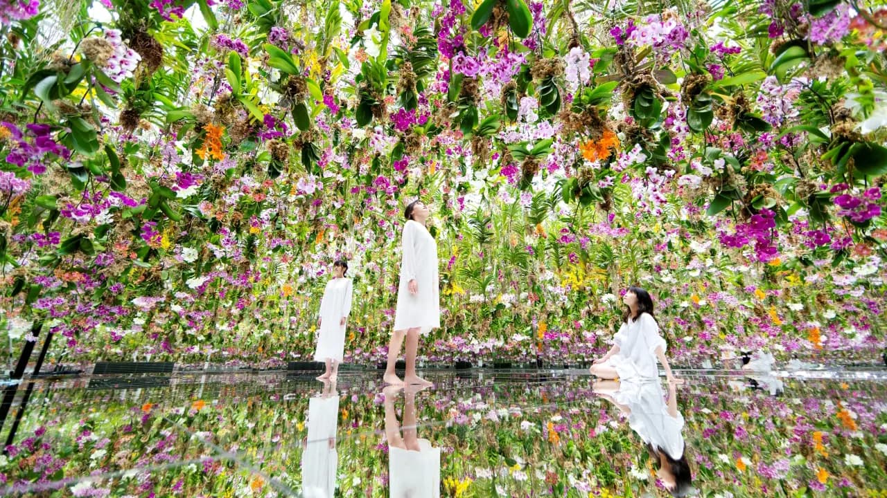teamLab Planets TOKYO Ticket - Photo 3