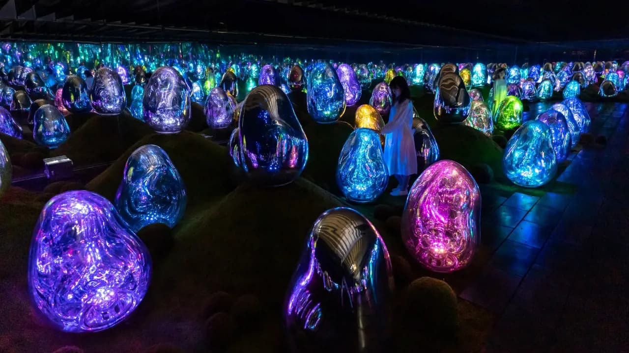 teamLab Planets TOKYO Ticket - Photo 28