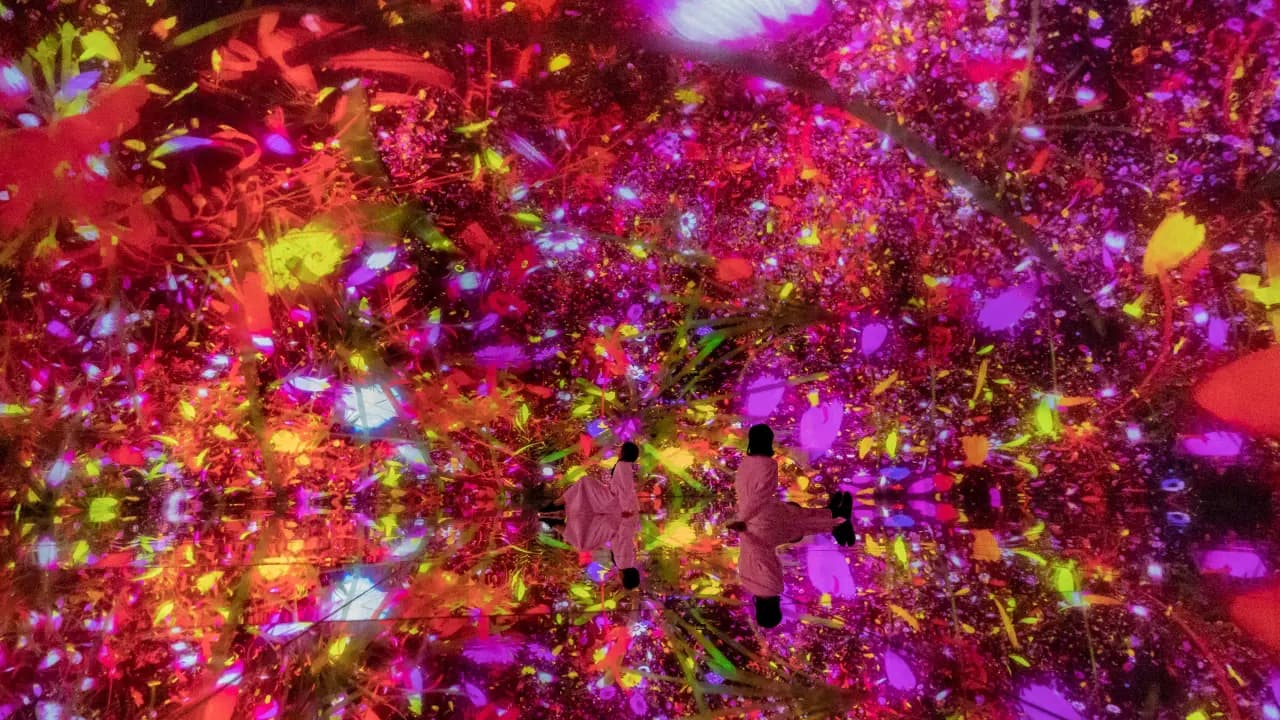 teamLab Planets TOKYO Ticket - Photo 6
