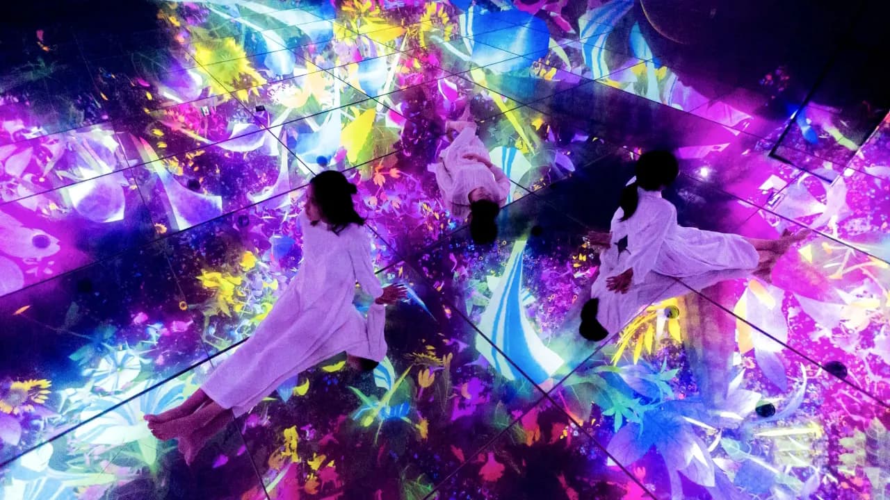 teamLab Planets TOKYO Ticket - Photo 10