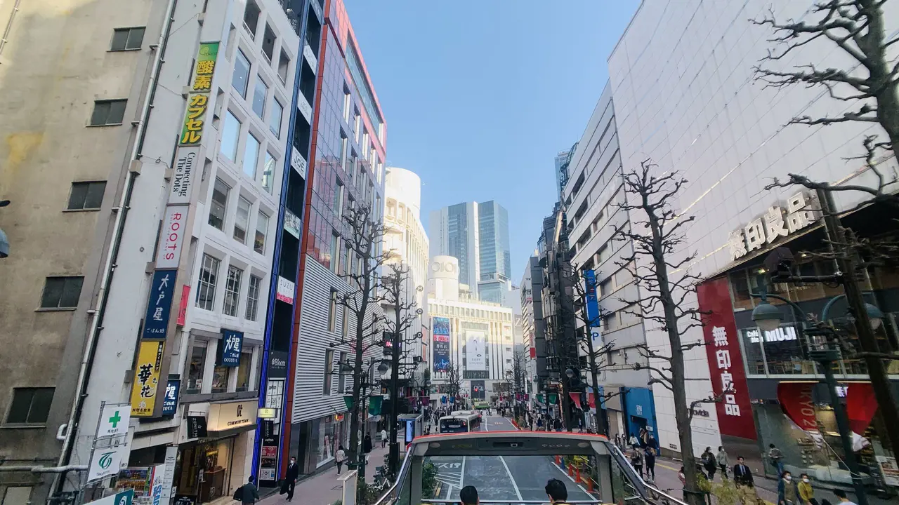 Tokyo Sky Hop-on Hop-off Sightseeing Bus - Photo 9