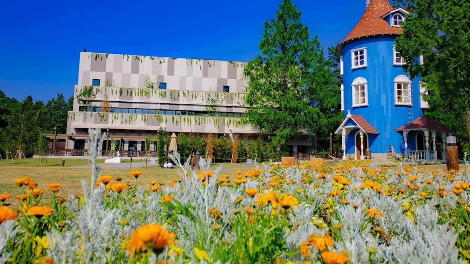 Moominvalley Park - Photo 17
