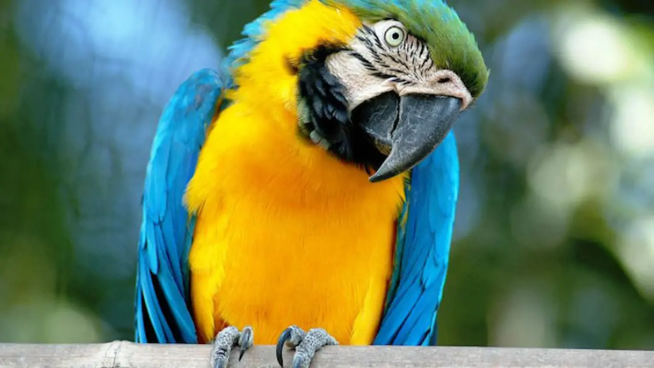 Bioparco: The Zoo of Rome - Photo 1