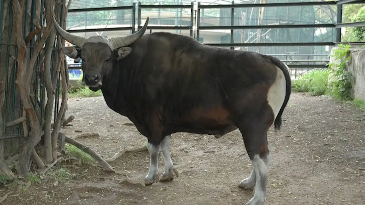 Bioparco: The Zoo of Rome - Photo 21