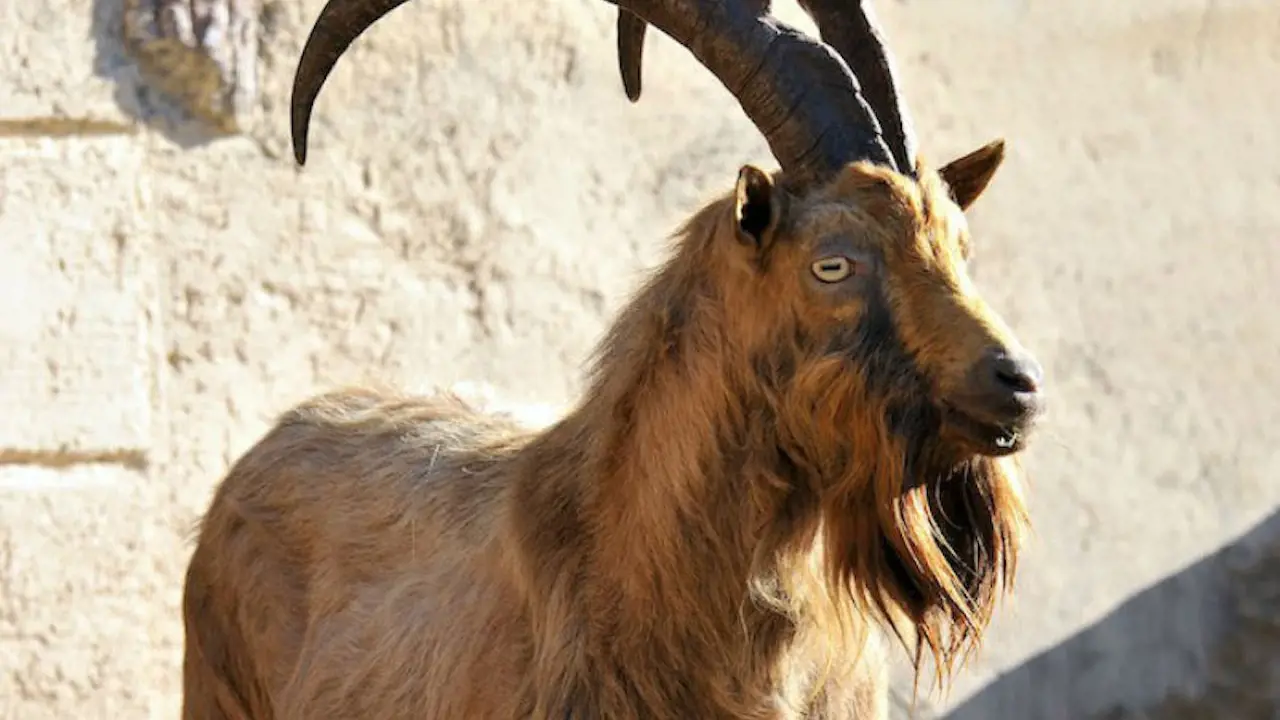 Bioparco: The Zoo of Rome - Photo 24